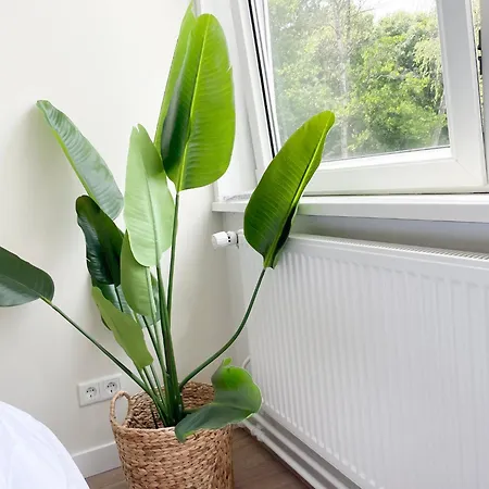 Private & Study-friendly, Vakantiehuis *