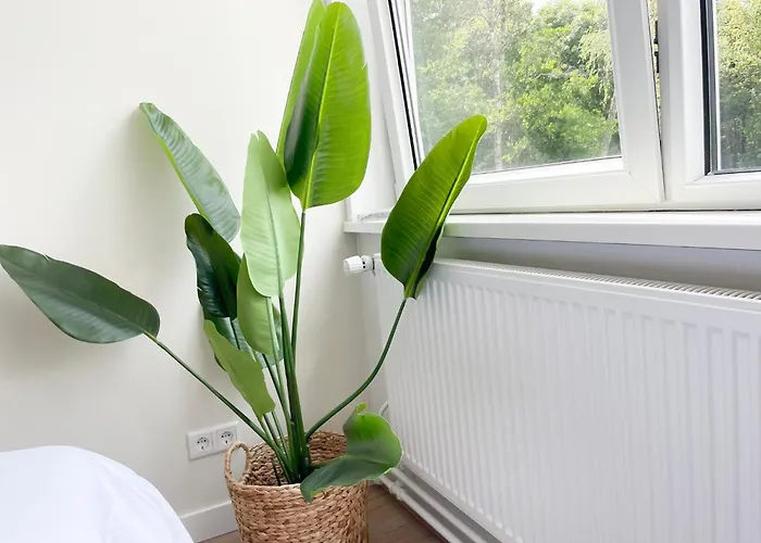 Cozy Student Room Steps From Tilburg University Σπίτι διακοπών *